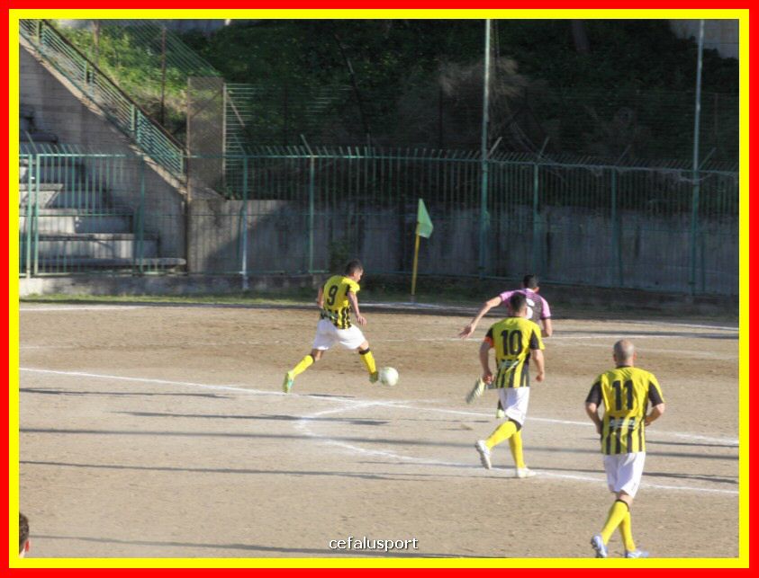 190310 Cephal_Torrenov 151_tn.jpg